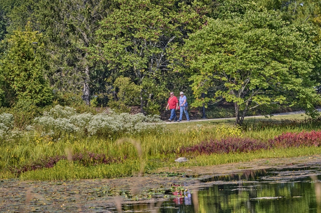 The Morton Arboretum