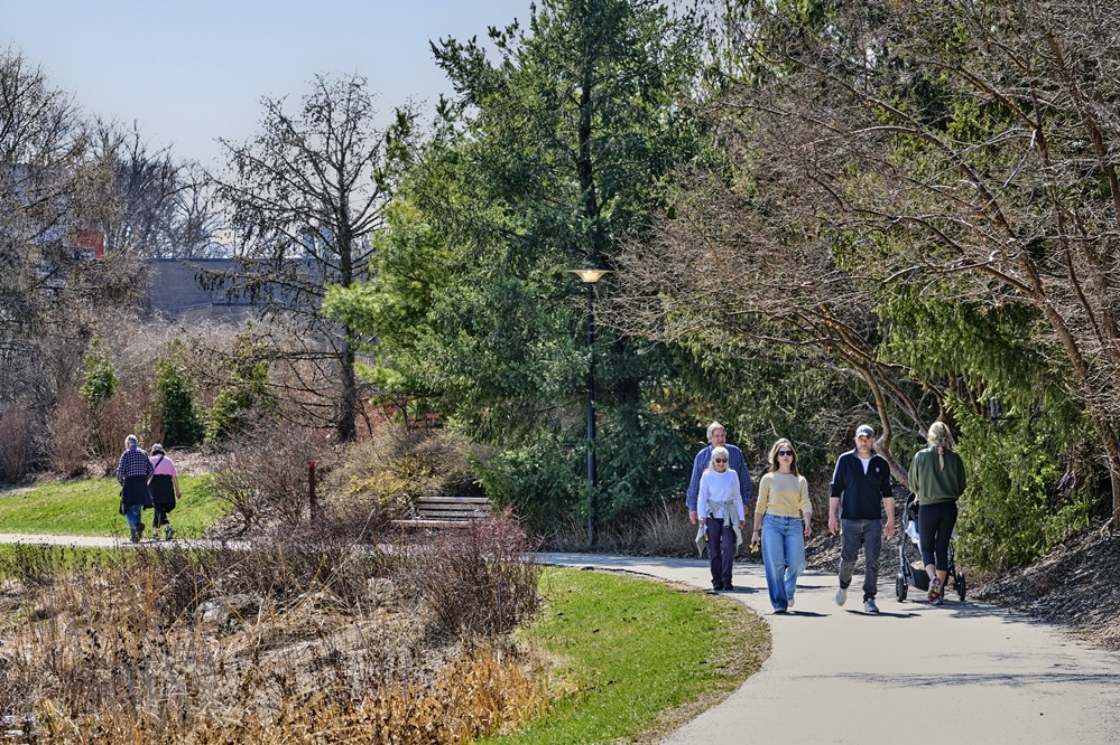 The Morton Arboretum