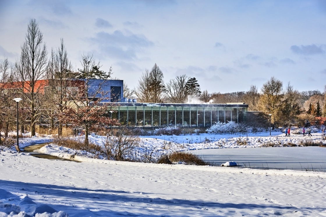 The Morton Arboretum