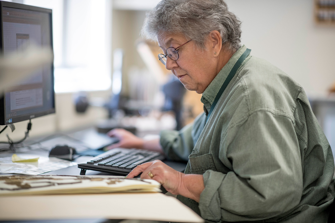 The Morton Arboretum