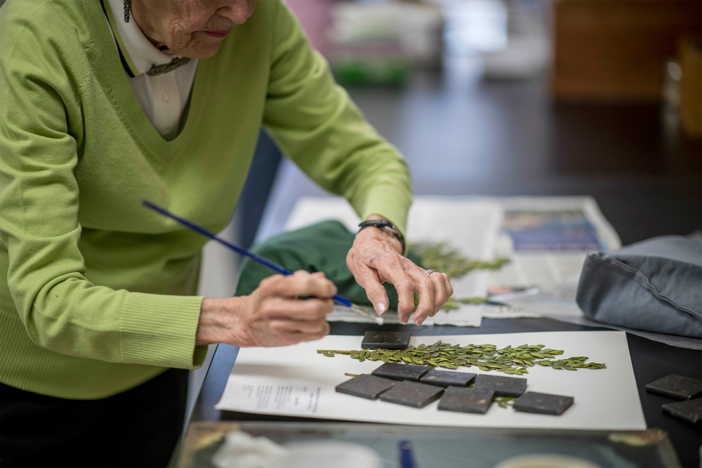 The Morton Arboretum