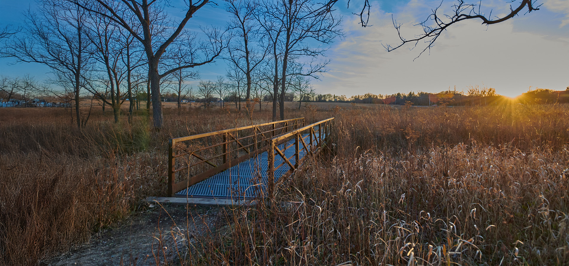 The Morton Arboretum