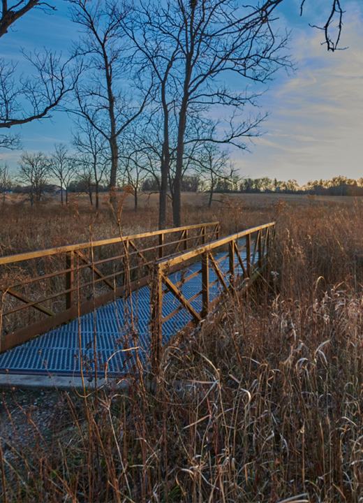 The Morton Arboretum