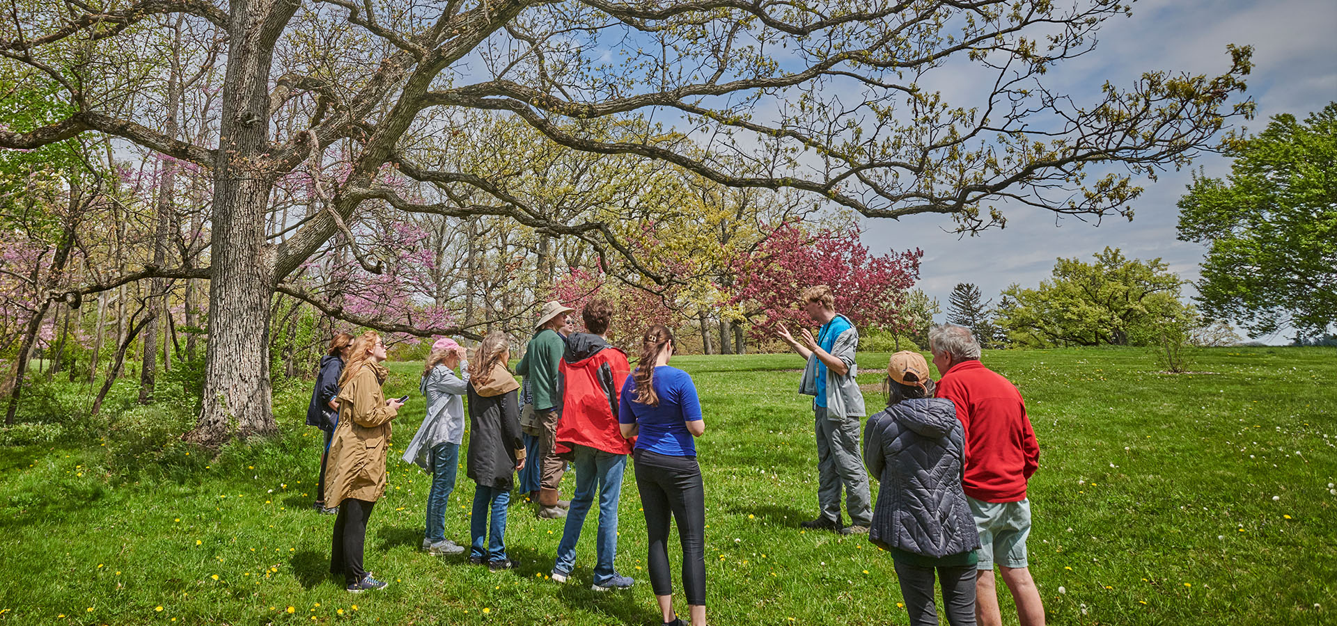 The Morton Arboretum