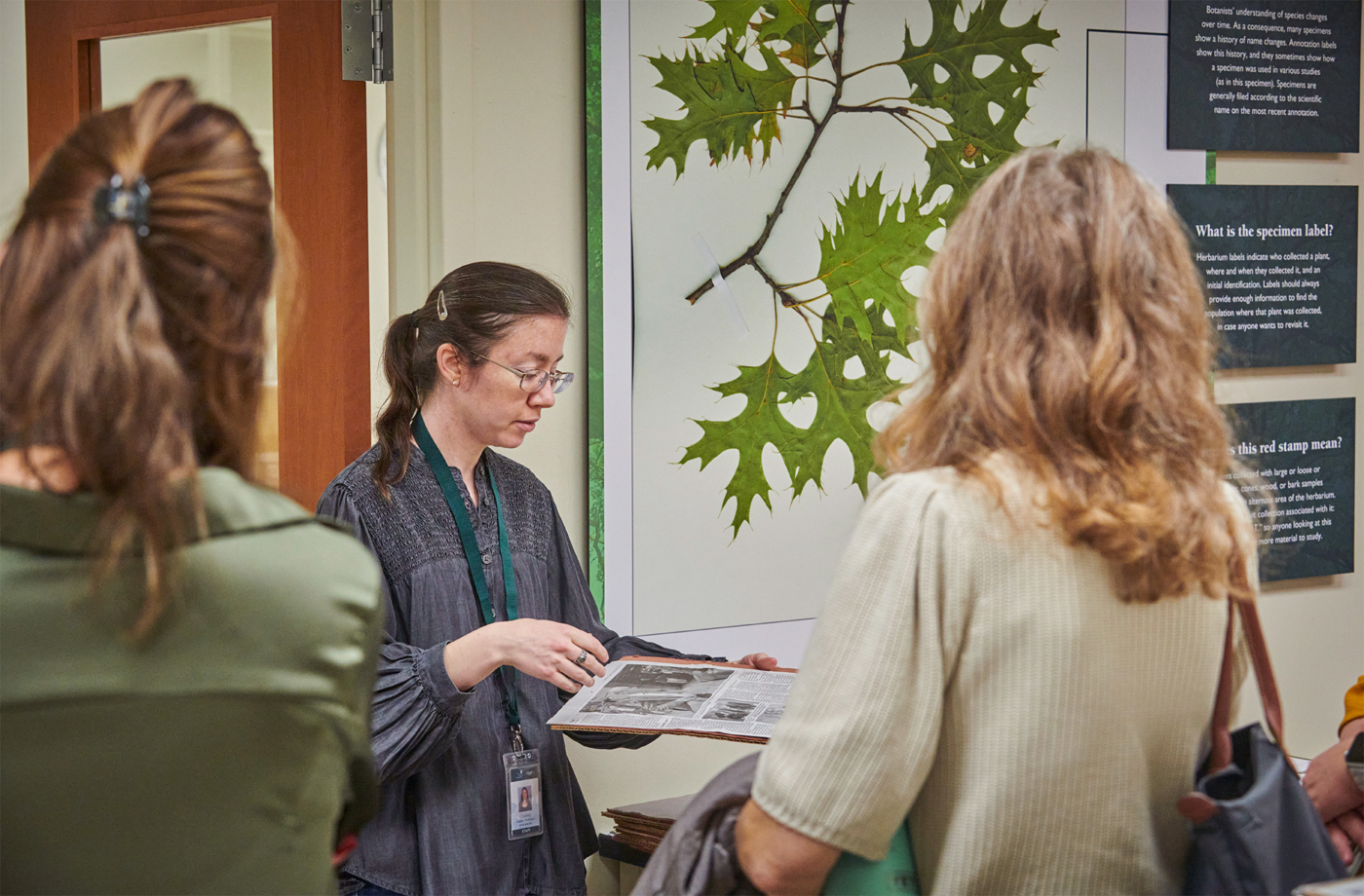 The Morton Arboretum