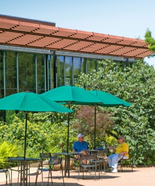 The Morton Arboretum