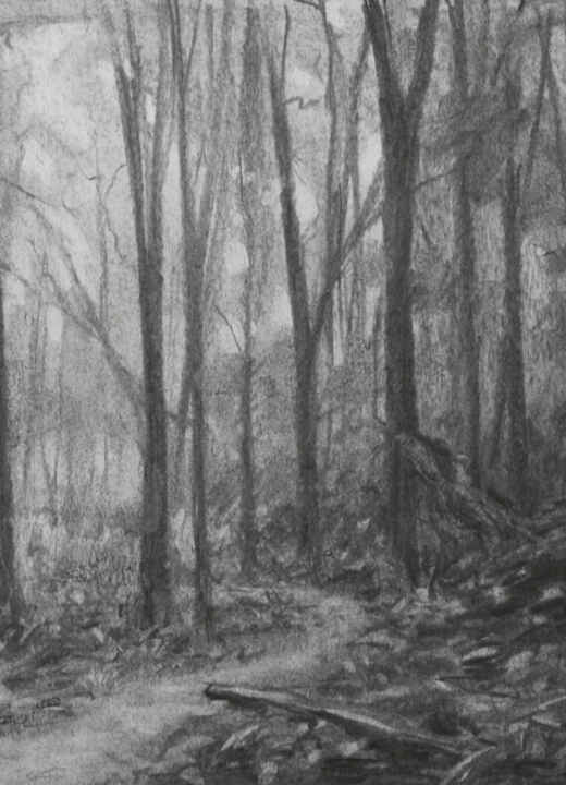 The Morton Arboretum