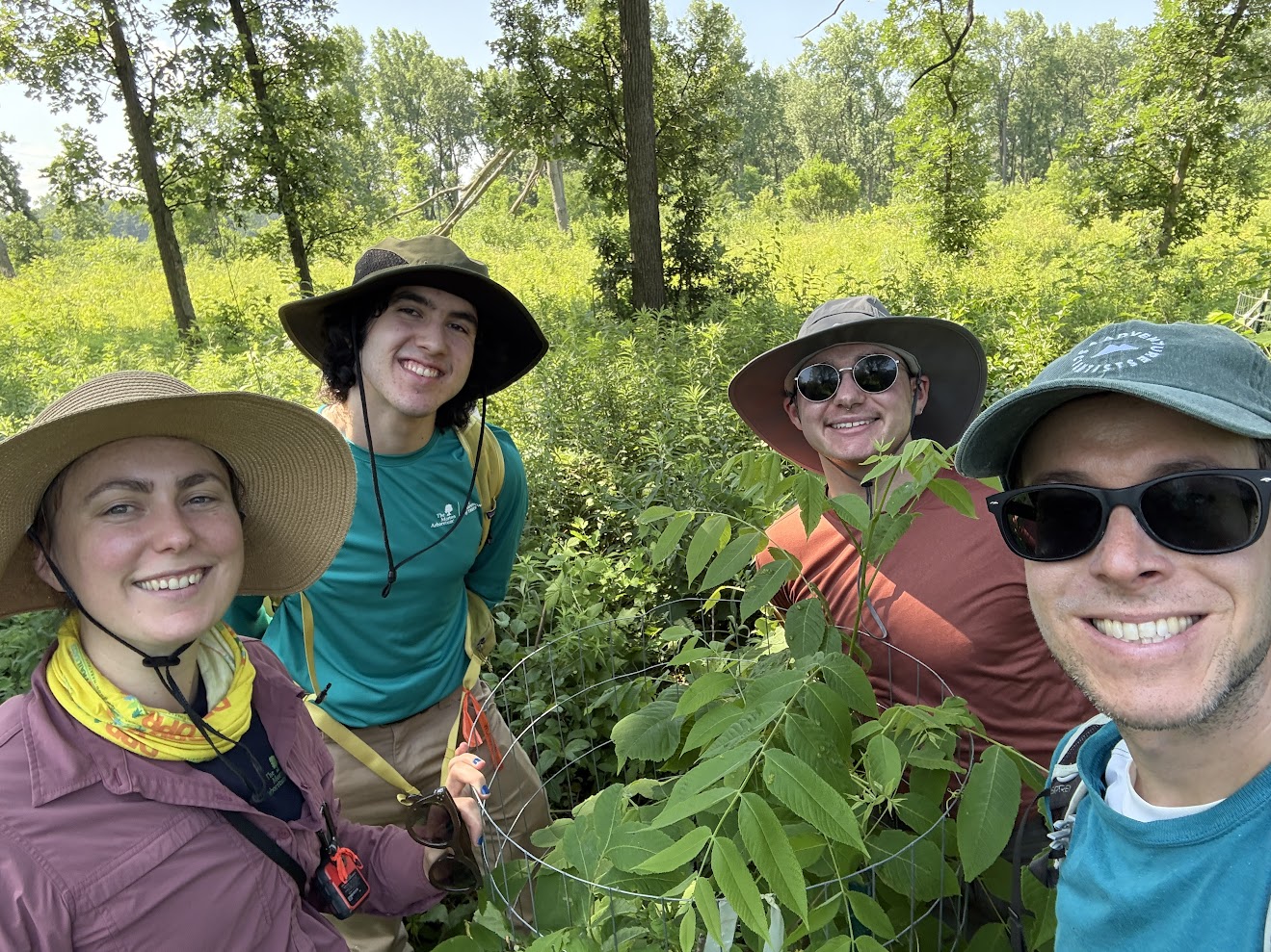 The Morton Arboretum