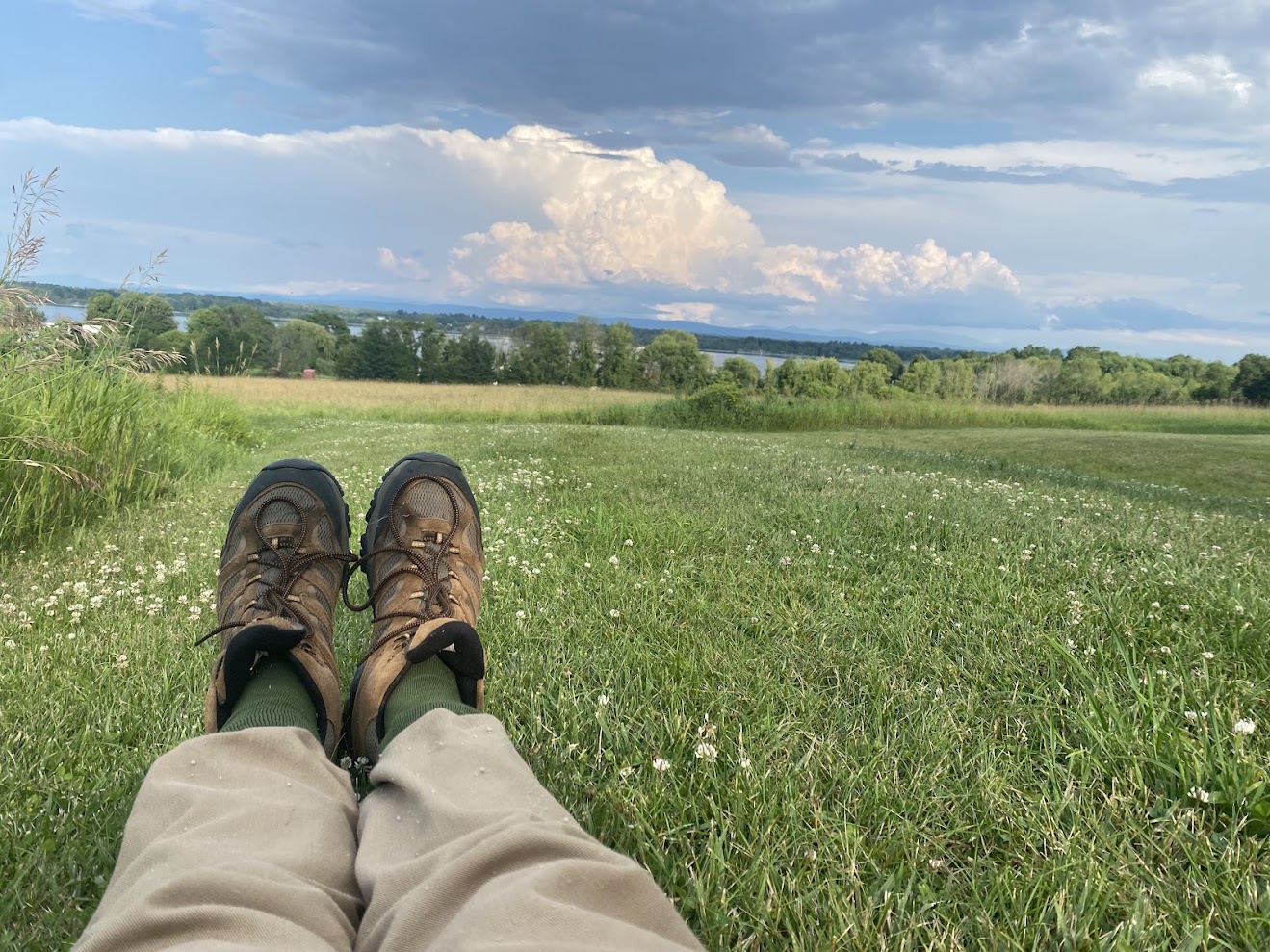 The Morton Arboretum