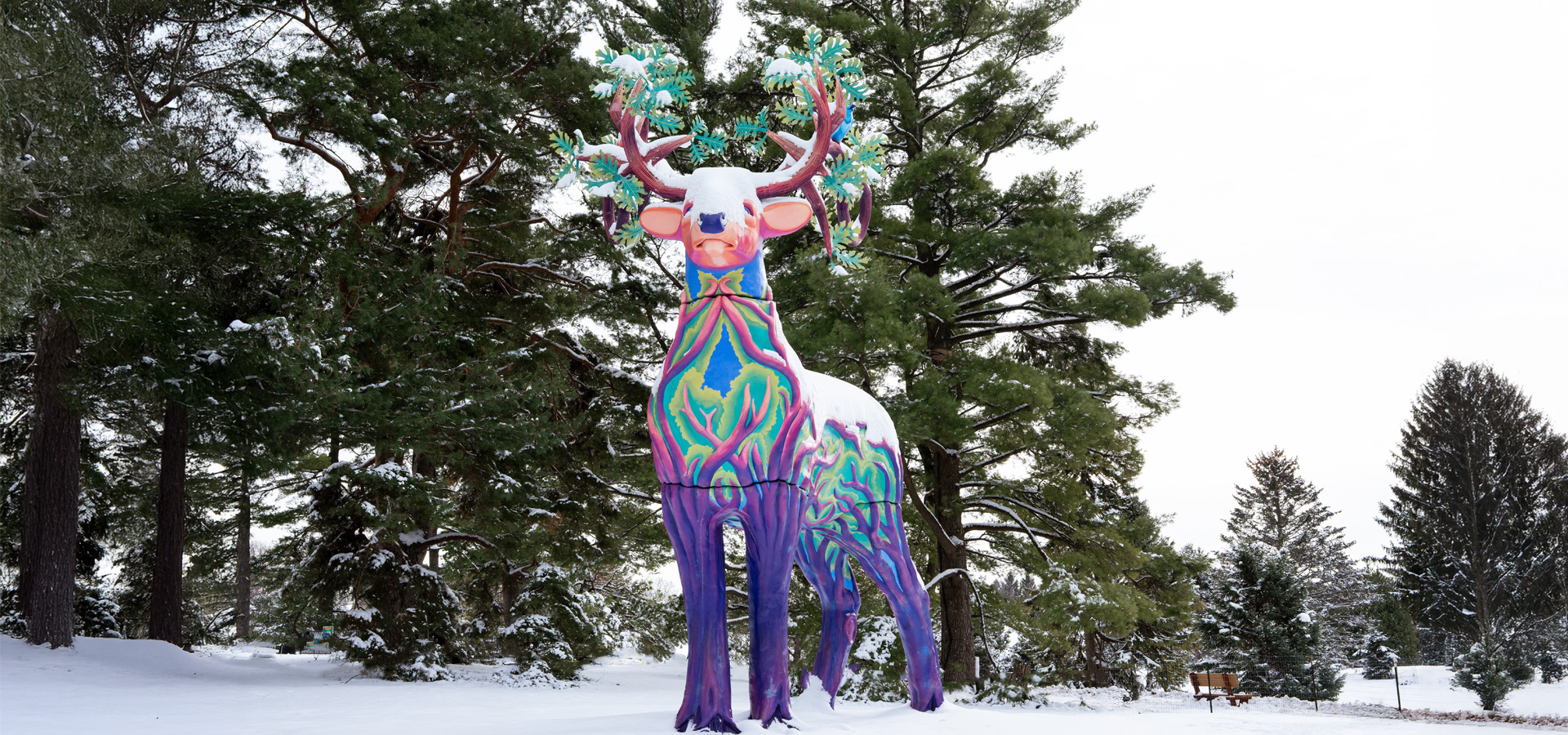 The Morton Arboretum