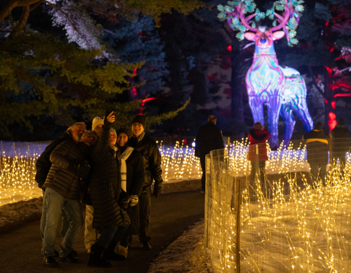 The Morton Arboretum