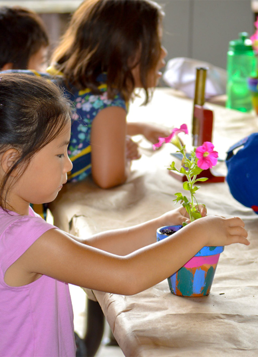 The Morton Arboretum
