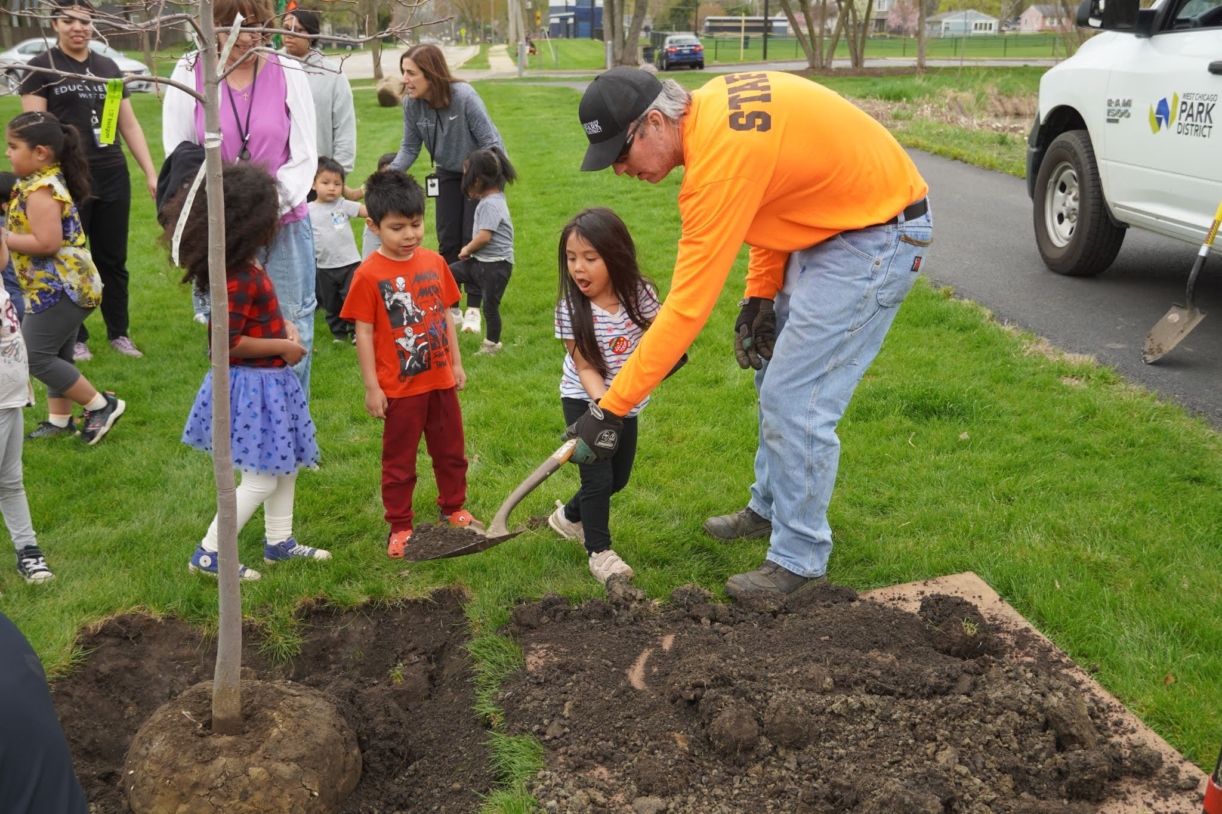 The Morton Arboretum
