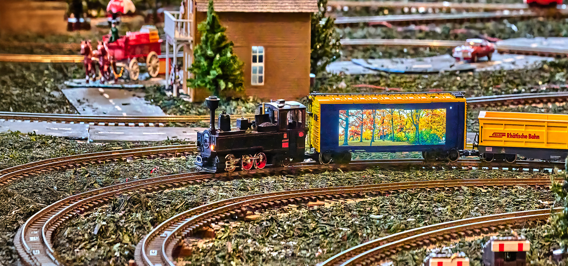 The Morton Arboretum