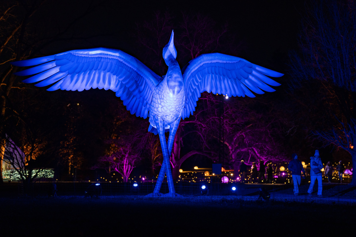 The Morton Arboretum