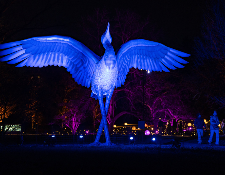 The Morton Arboretum