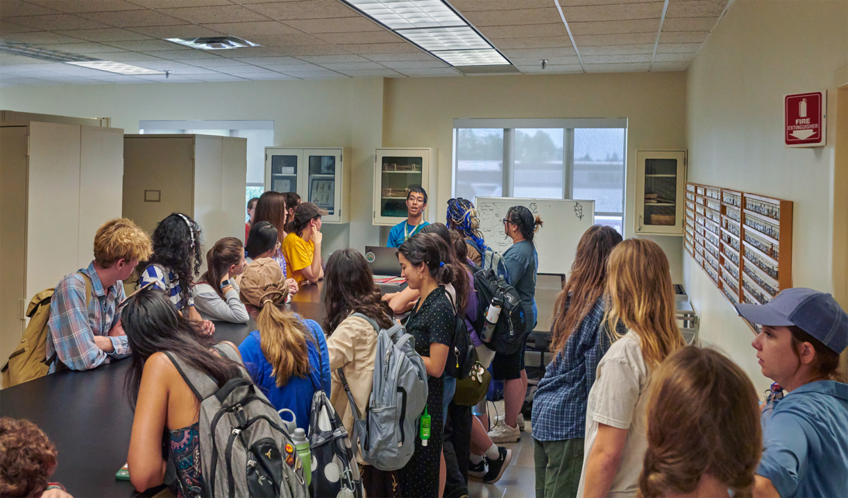 The Morton Arboretum