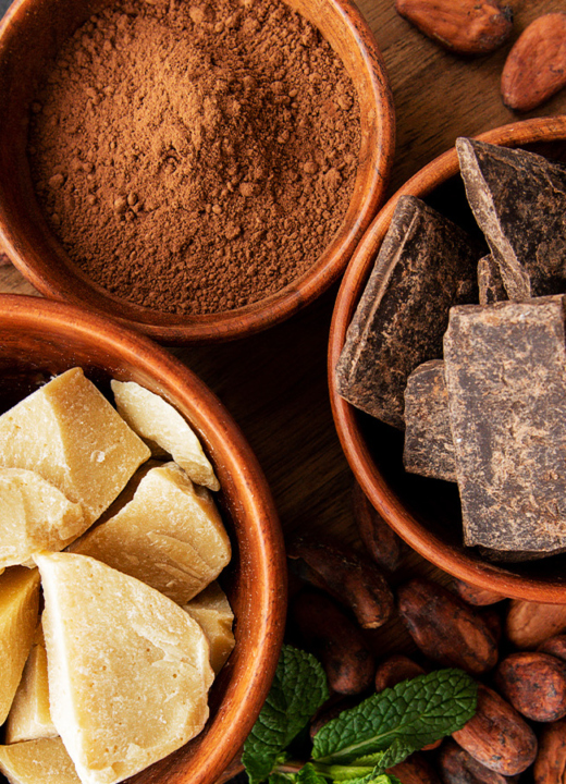 The Morton Arboretum