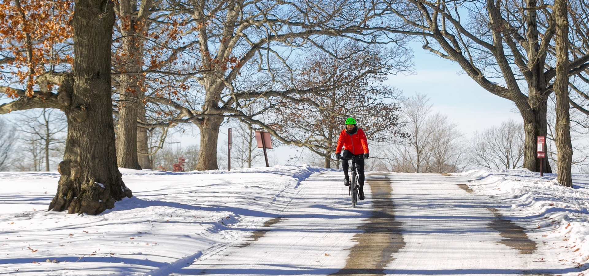 The Morton Arboretum