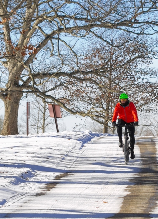 The Morton Arboretum