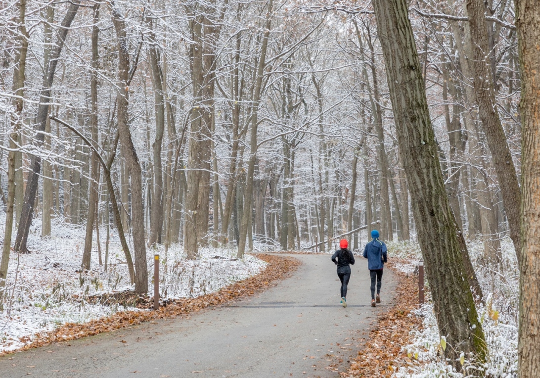 The Morton Arboretum