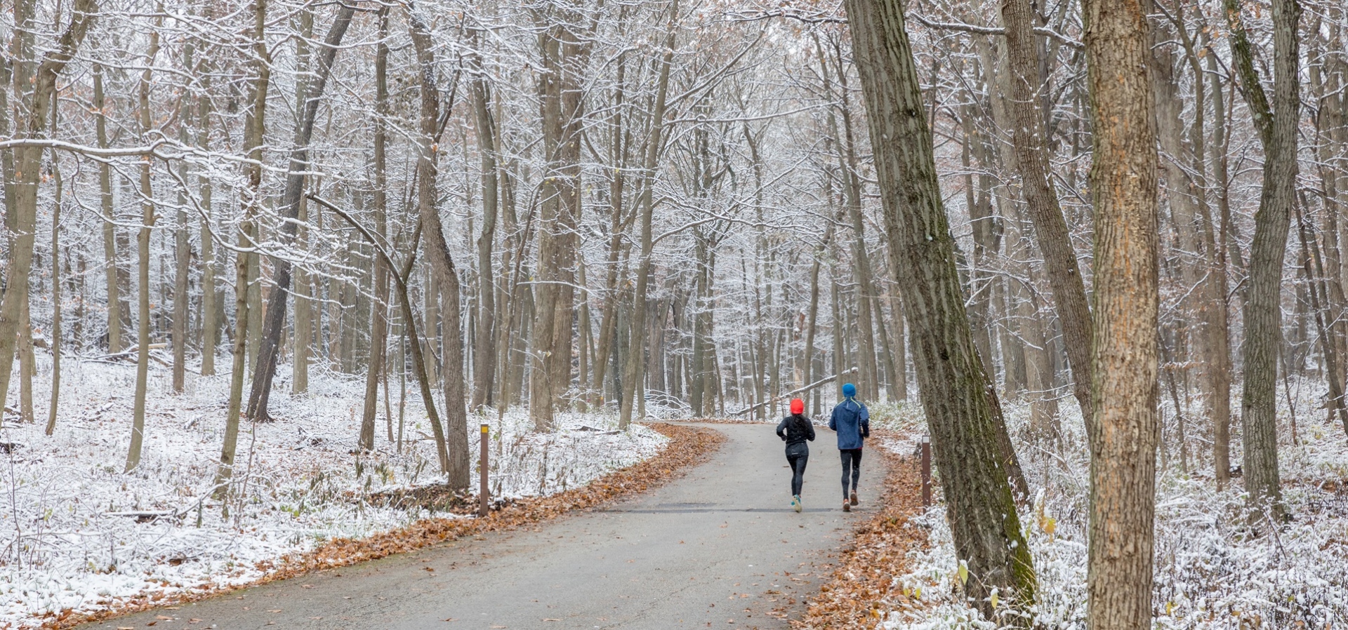 The Morton Arboretum