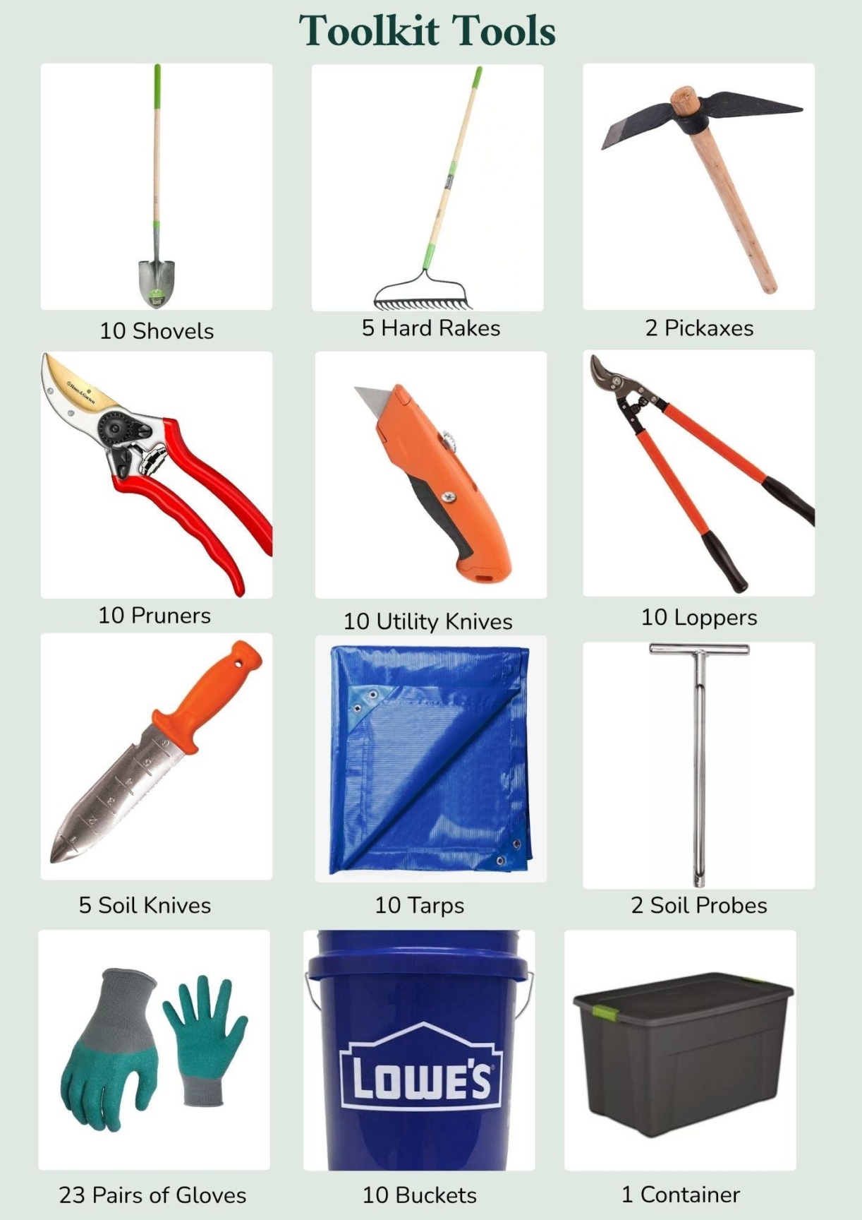 The Morton Arboretum