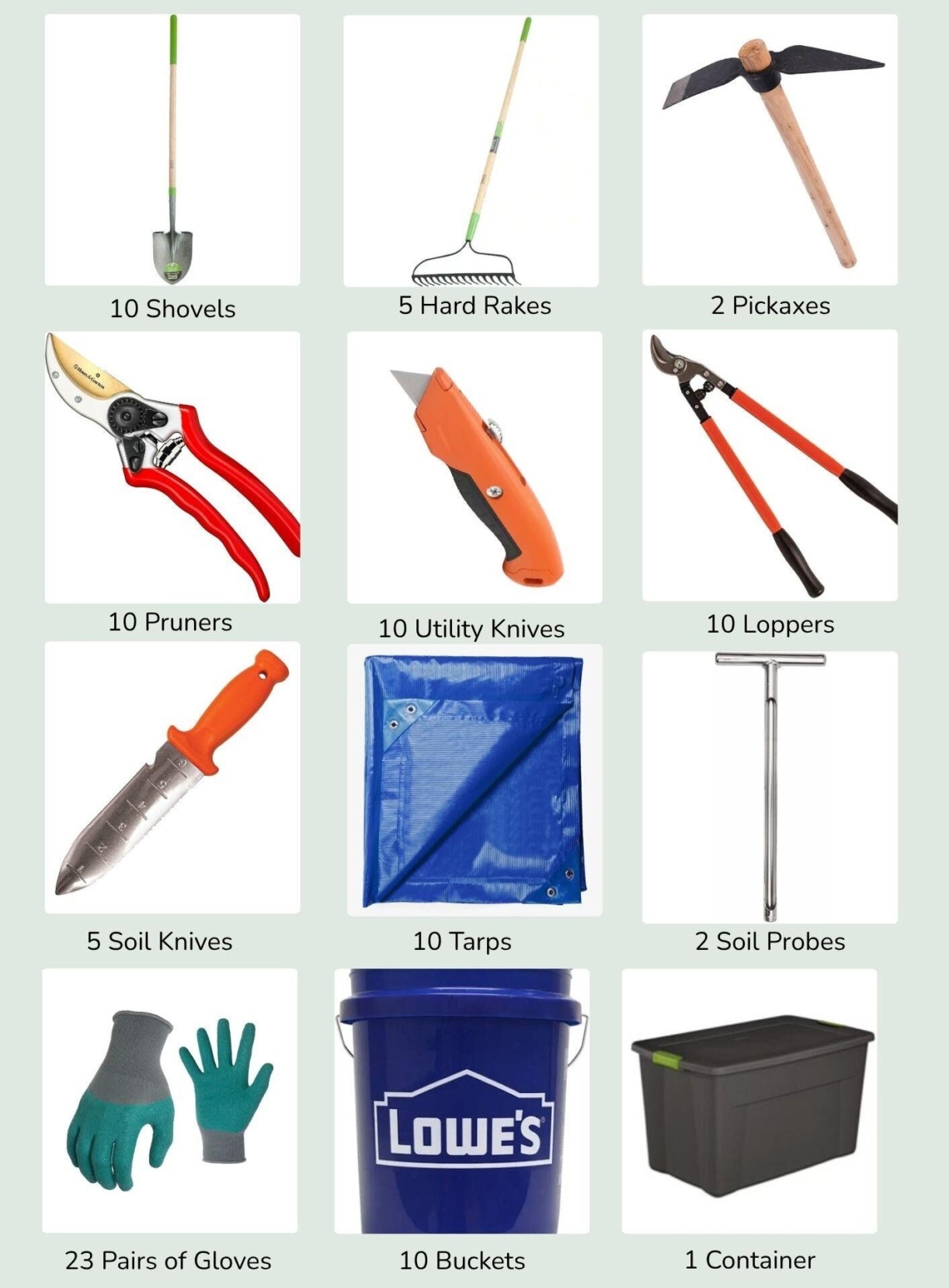 The Morton Arboretum