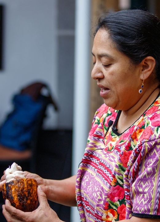 The Morton Arboretum