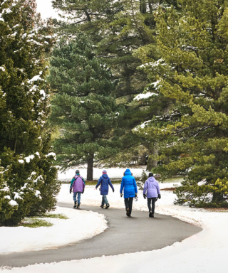 The Morton Arboretum