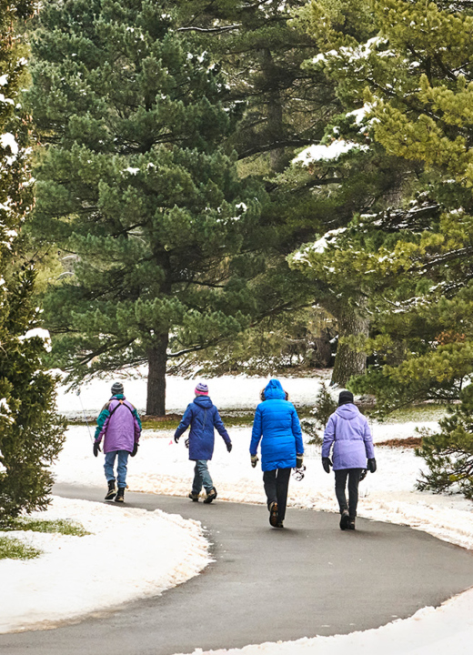 The Morton Arboretum