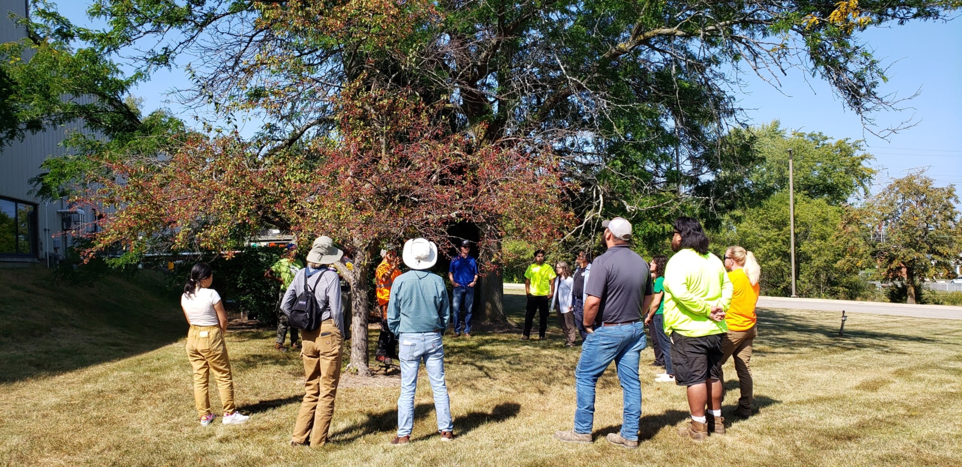 Photograph of green professionals learning proper tree pruning practices at an Urban Forestry Basic training event