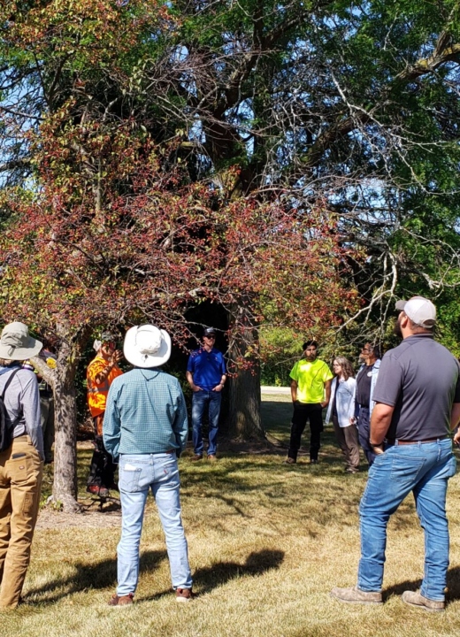 Photograph of green professionals learning proper tree pruning practices at an Urban Forestry Basic training event
