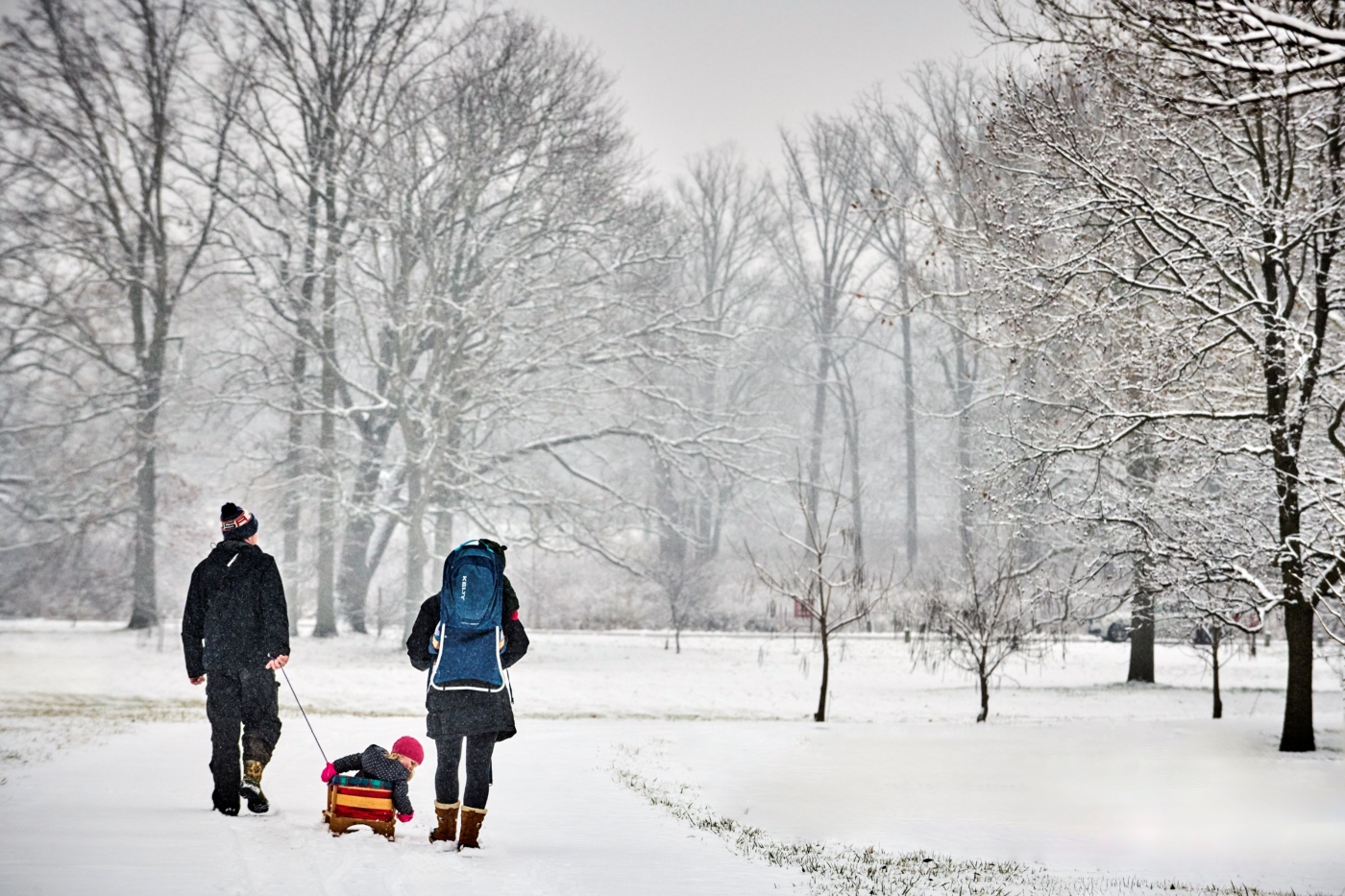 The Morton Arboretum