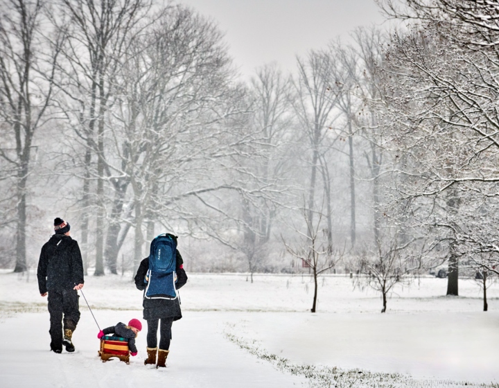 The Morton Arboretum