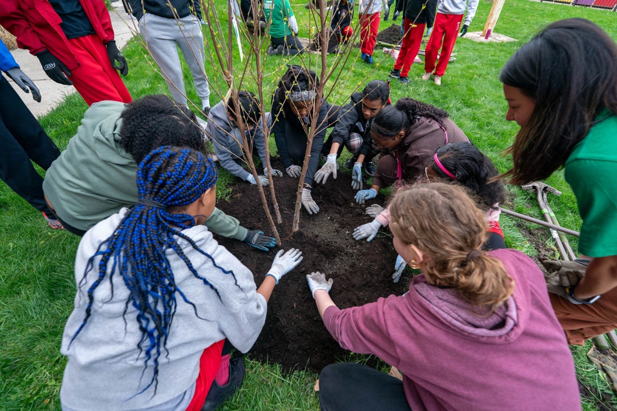 Photograph of school children planting a tree alongside a Morton Arboretum staff member