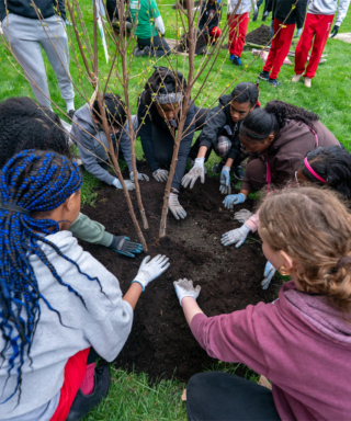 School children planting a tree