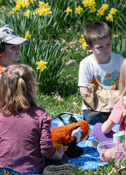 The Morton Arboretum