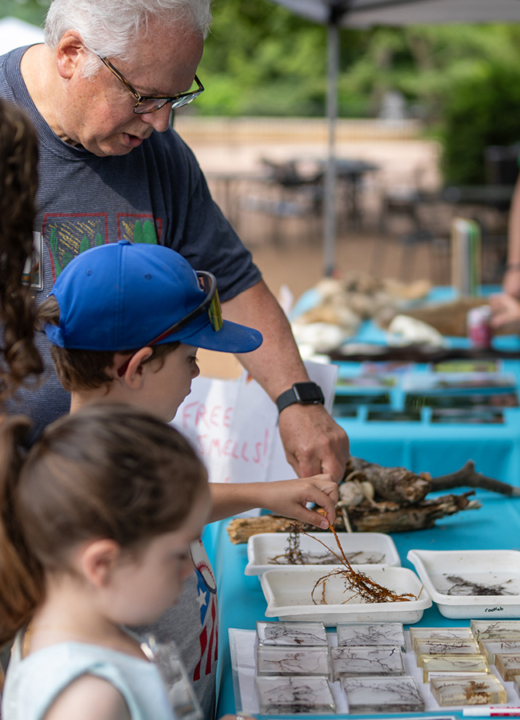 Children and parents interact with science exhibit at a Morton Arboretum event