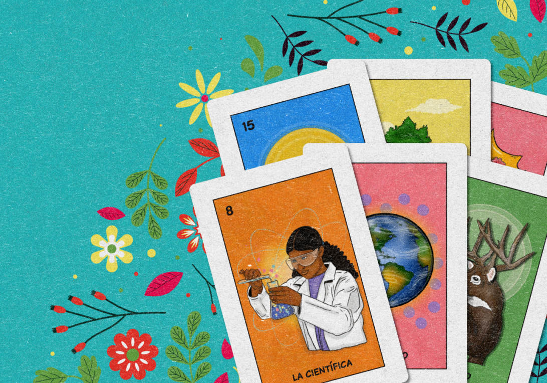 Illustration of Loteria cards and natural motifs