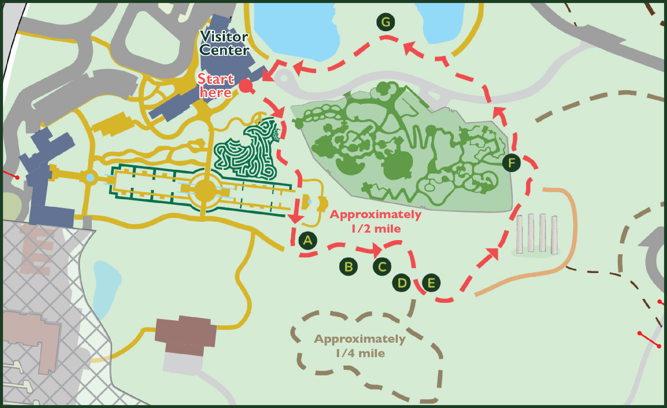 Walking map of The Morton Arboretum's conifer walk for a guided walking tour
