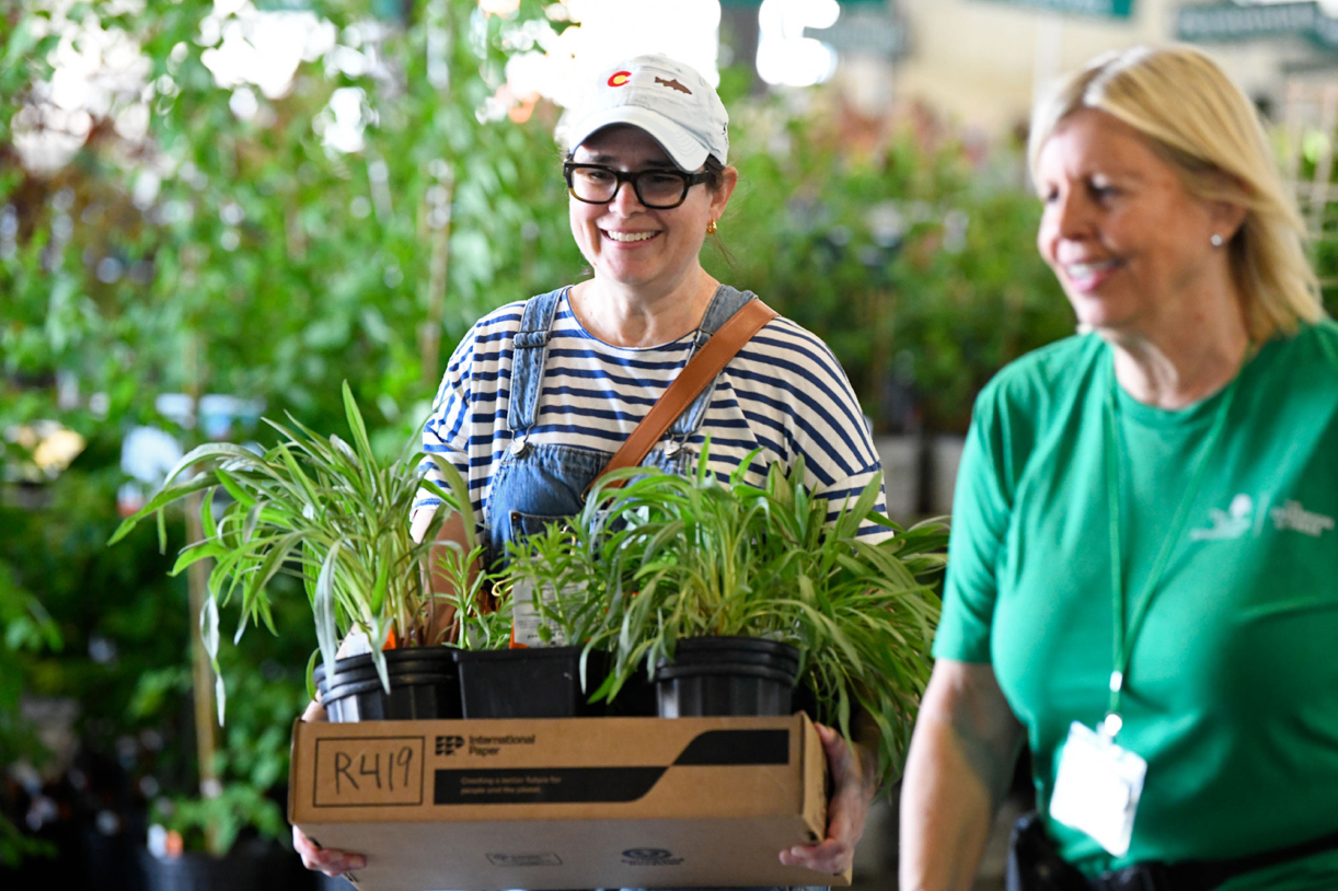 Photograph of a customer holding a box of plants at The Morton Arboretum Arbor Day Plant Sale