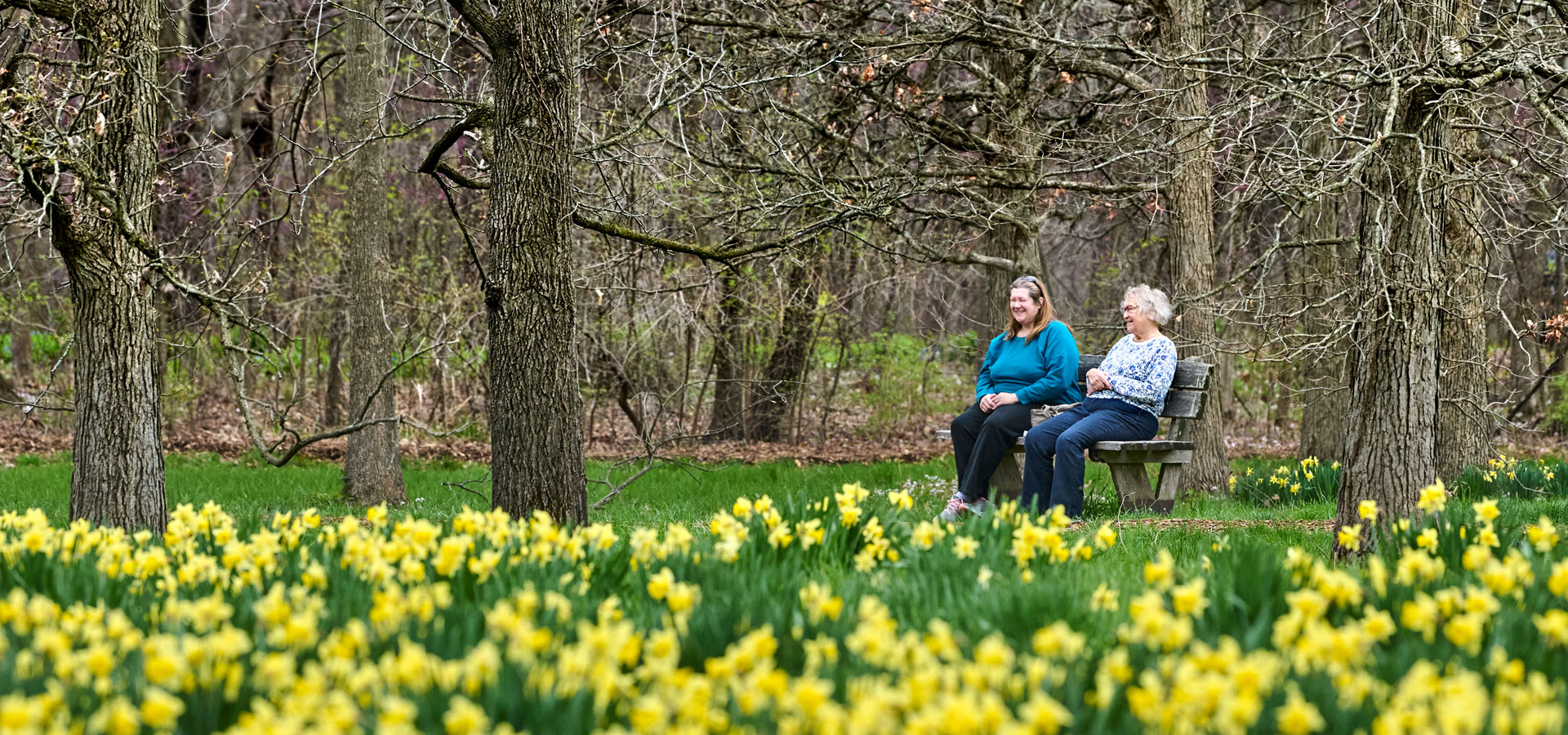Photograph of two women sitting on a wooden bench at Daffodil Glade at The Morton Arboretum