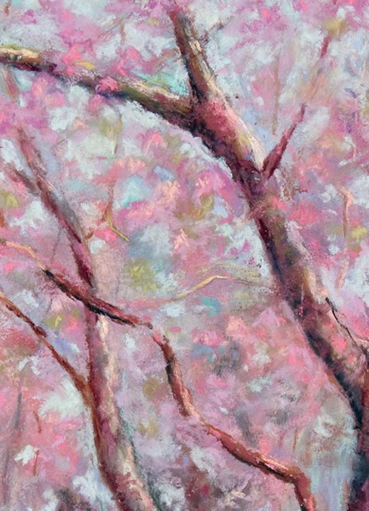 Image of a pastel drawing of spring flowering trees