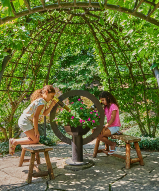 Photograph of children using a display to look at flowers through a kaleidoscope