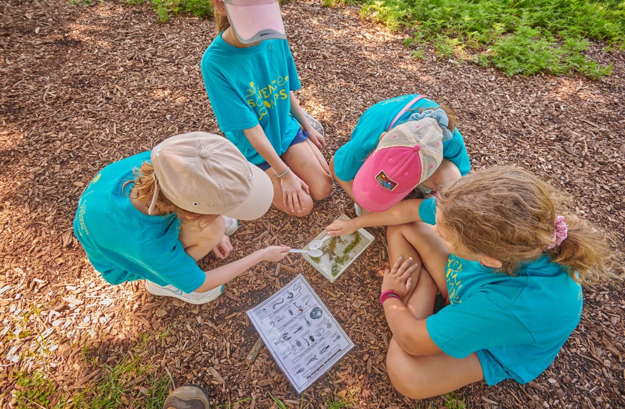 Children interacting with a science activity on a woodchipped trail during Summer Science Camps