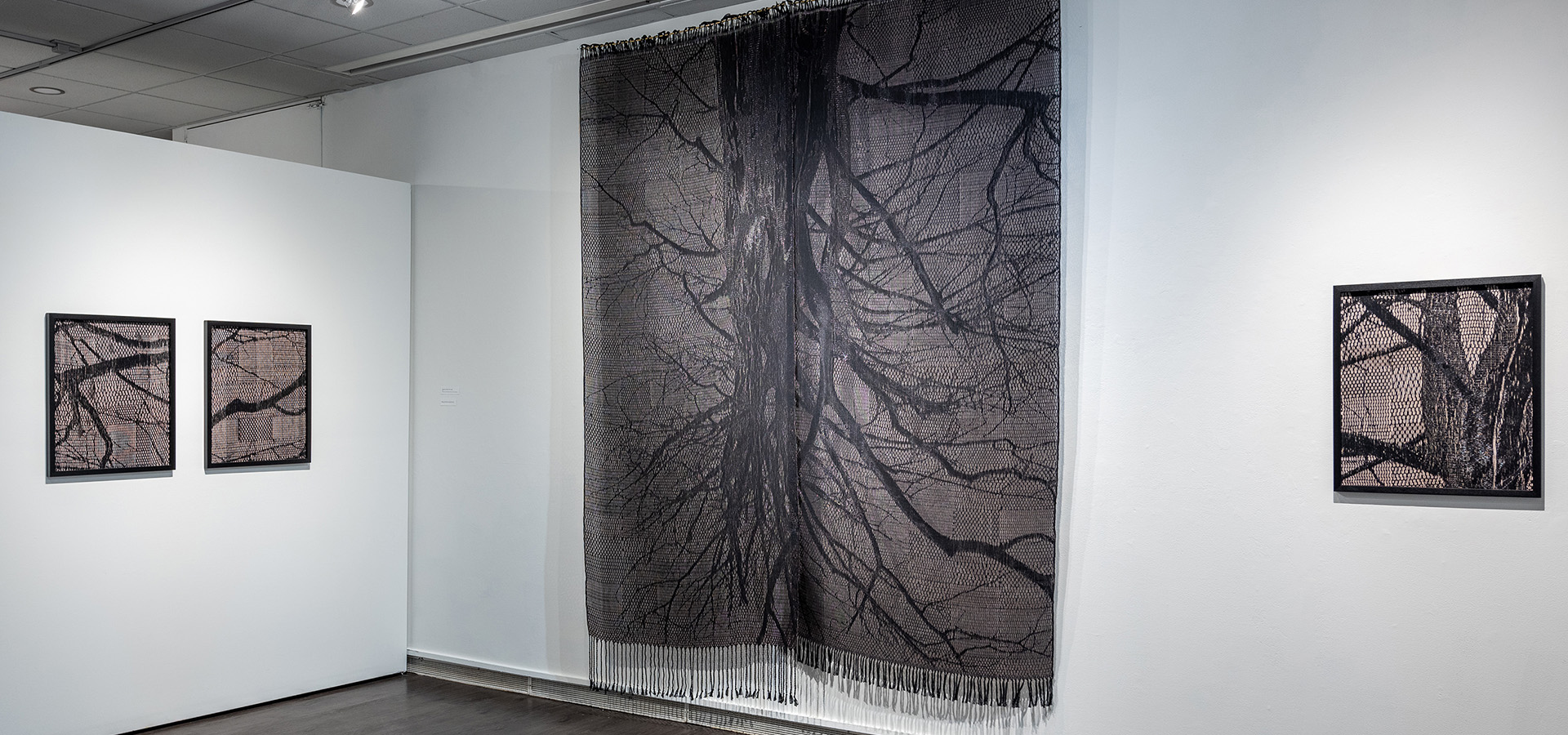 The Morton Arboretum