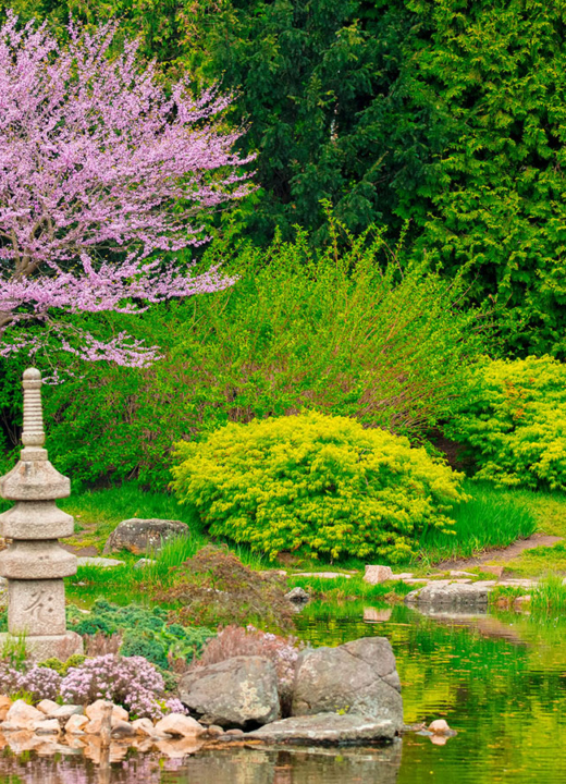 Photograph of a Japanese garden with a stone statue, a pond, and ornamental trees
