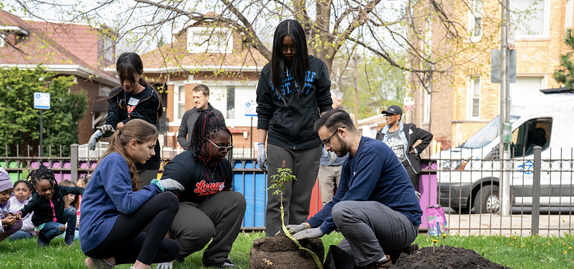The Morton Arboretum