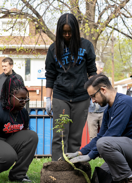 The Morton Arboretum